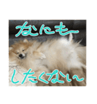 えり太セレクション3（個別スタンプ：19）