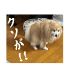 えり太セレクション3（個別スタンプ：25）