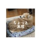 えり太セレクション3（個別スタンプ：26）