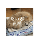 えり太セレクション3（個別スタンプ：27）