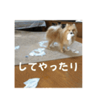 えり太セレクション3（個別スタンプ：29）