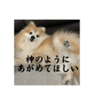 えり太セレクション3（個別スタンプ：30）