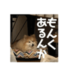 えり太セレクション3（個別スタンプ：31）