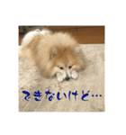 えり太セレクション3（個別スタンプ：36）