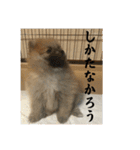 えり太セレクション3（個別スタンプ：37）