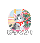 かわいいこねこのご挨拶Christmas（個別スタンプ：6）
