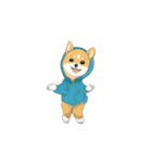 踊る犬 芝犬 dancing dog（個別スタンプ：9）