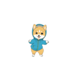 踊る犬 芝犬 dancing dog（個別スタンプ：16）