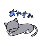 ねこのなかま（個別スタンプ：17）