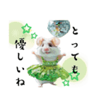 pretty hamster＊✳︎（個別スタンプ：13）