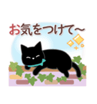 サクサク使える❤黒猫さん（個別スタンプ：14）