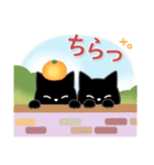 サクサク使える❤黒猫さん（個別スタンプ：36）