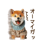 毎日使える柴犬の冬の日常*·̩͙❅*＊.（個別スタンプ：22）