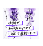 水彩画/年賀状じまいの挨拶 喪中 寒中（個別スタンプ：5）