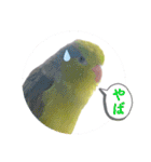 マメルリハ達22（個別スタンプ：3）