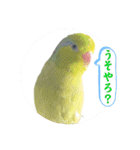 マメルリハ達22（個別スタンプ：7）