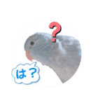 マメルリハ達22（個別スタンプ：8）
