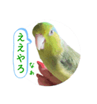 マメルリハ達22（個別スタンプ：11）