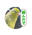 マメルリハ達22（個別スタンプ：23）