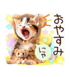 にゃ！猫語のからふる三毛猫こねこちゃん（個別スタンプ：5）