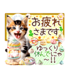 にゃ！猫語のからふる三毛猫こねこちゃん（個別スタンプ：26）