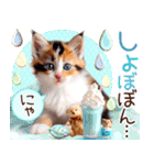 にゃ！猫語のからふる三毛猫こねこちゃん（個別スタンプ：32）