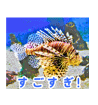 世界の魚図鑑 2:日本語（個別スタンプ：9）