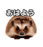 ハリネズミのかわいい表情（個別スタンプ：26）