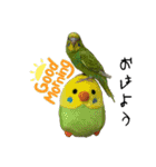 かわいぃペット（個別スタンプ：1）