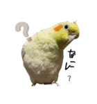 かわいぃペット（個別スタンプ：30）
