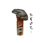 かわいぃペット（個別スタンプ：34）