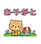 気持ち伝わる♪感謝お礼 #柴犬クッキー3（個別スタンプ：4）