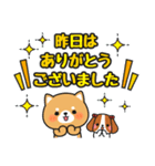 気持ち伝わる♪感謝お礼 #柴犬クッキー3（個別スタンプ：20）