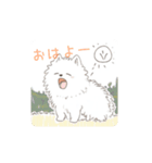 狂犬（？）サモエド（個別スタンプ：1）