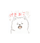 狂犬（？）サモエド（個別スタンプ：2）