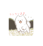 狂犬（？）サモエド（個別スタンプ：7）