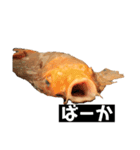 鯉スタ（個別スタンプ：3）