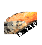 鯉スタ（個別スタンプ：6）