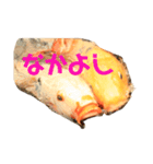 鯉スタ（個別スタンプ：7）