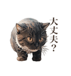 ただ猫と一緒に居たいだけ（個別スタンプ：4）