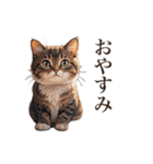 ただ猫と一緒に居たいだけ（個別スタンプ：20）