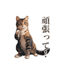 ただ猫と一緒に居たいだけ（個別スタンプ：23）