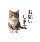 ただ猫と一緒に居たいだけ（個別スタンプ：35）