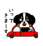 バーニーズの（個別スタンプ：5）