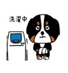 バーニーズの（個別スタンプ：7）