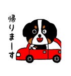 バーニーズの（個別スタンプ：8）