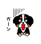 バーニーズの（個別スタンプ：13）