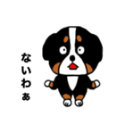 バーニーズの（個別スタンプ：14）