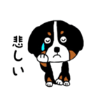 バーニーズの（個別スタンプ：15）