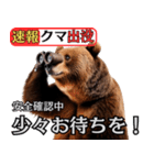 ヒグマ出没！注意（個別スタンプ：3）